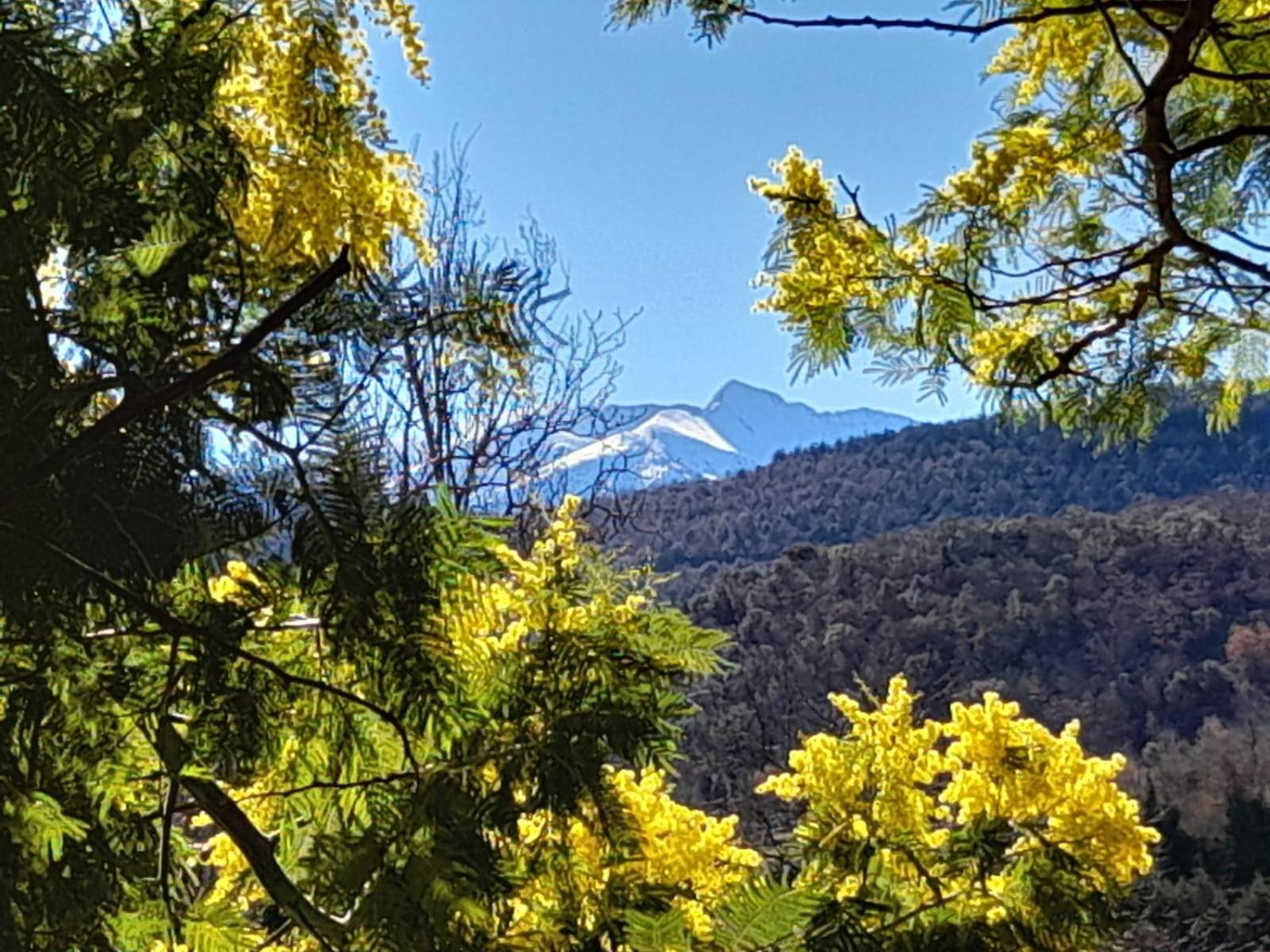 Domaine St Georges Villa Mosset Bagian luar foto