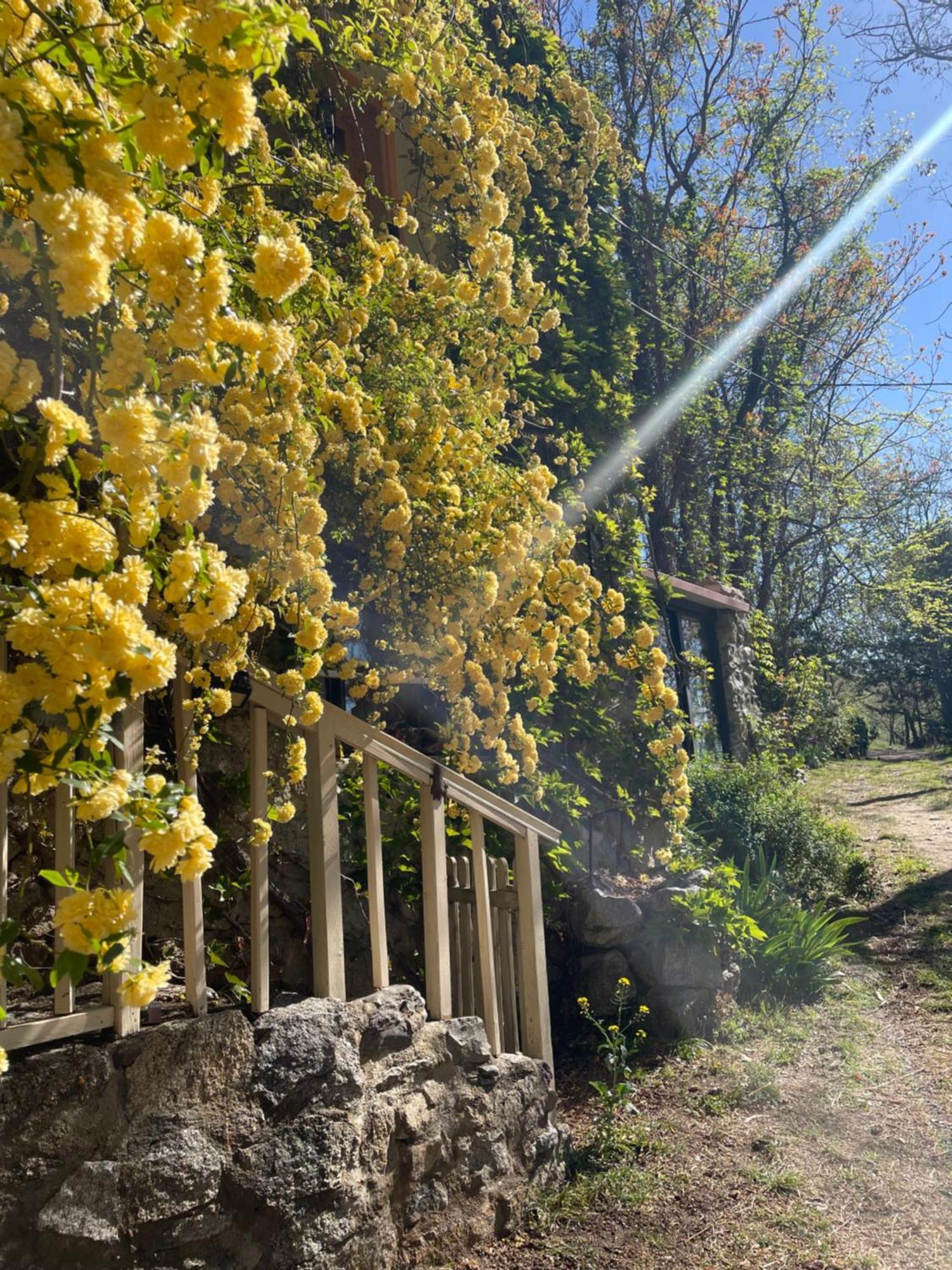 Domaine St Georges Villa Mosset Bagian luar foto