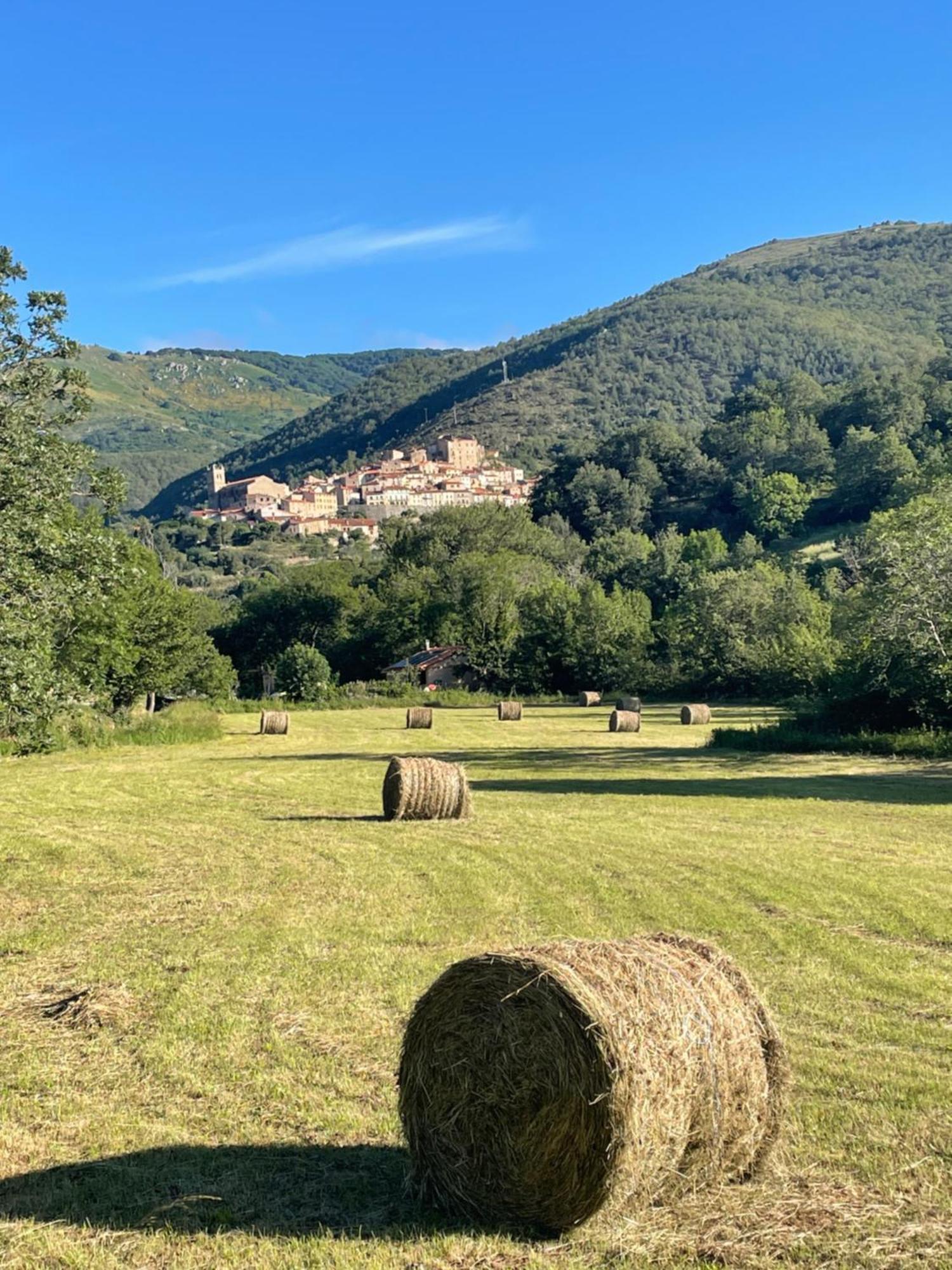 Domaine St Georges Villa Mosset Bagian luar foto